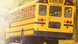 Comprehensive School Bus Routing Software