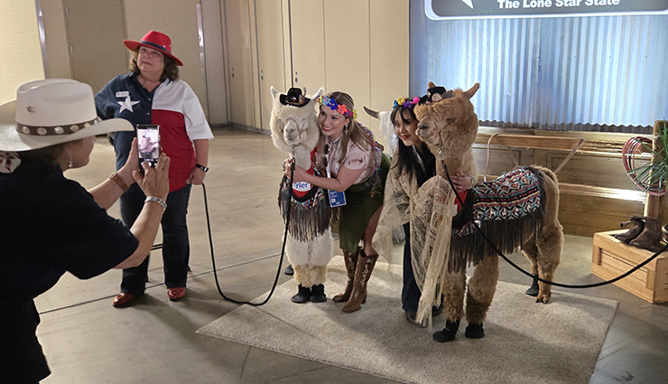 The alpacas photo op was popular all night at the Client Appreciation Event
