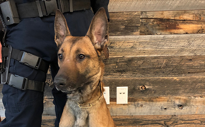 K9 Tyler Joins Cheyenne PD