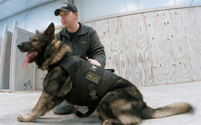 K9 Officer’s Story Inspires Protective Vest Sponsorship