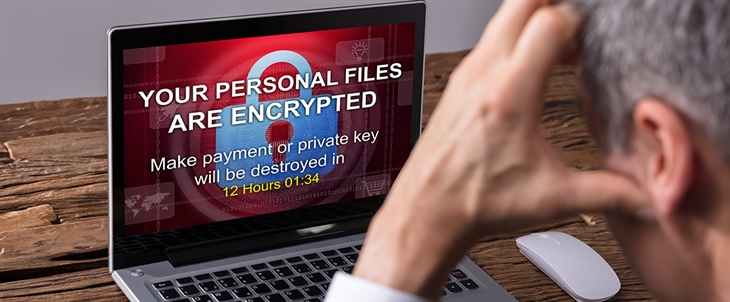 Your Ransomware Survival Guide