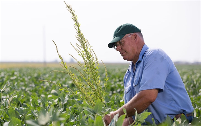 How USDA's Open Data Helps Ag Thrive