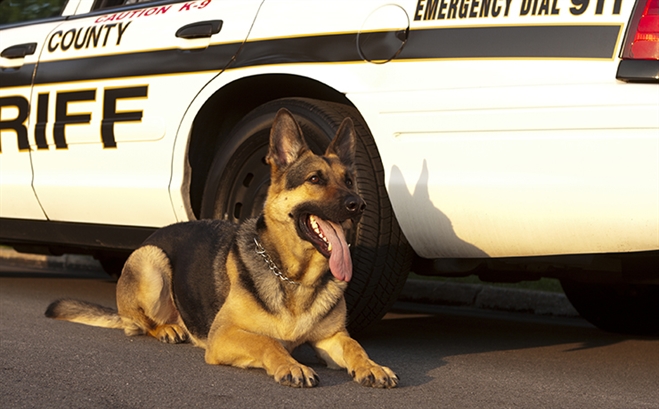 Cheyenne PD Credits K9 With Meth Bust