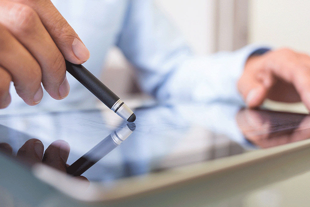 Mid-Size to Large Organizations