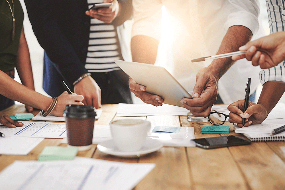 Automated Income and Employment Verifications