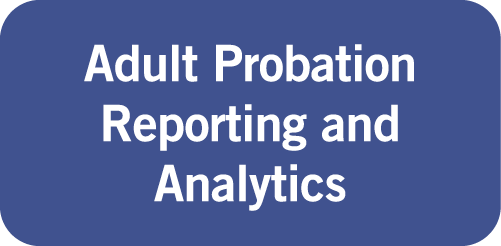 Adult Probation Reporting and Analytics