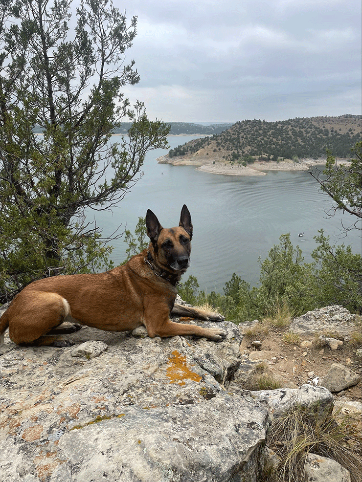 K9 Tyler 07
