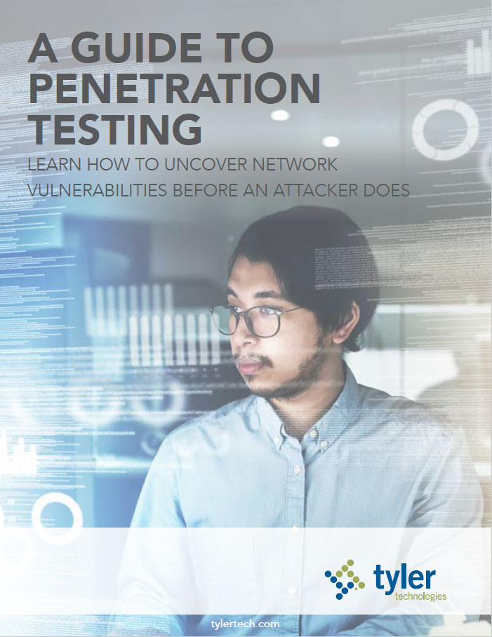 A Guide to Penetration Testing